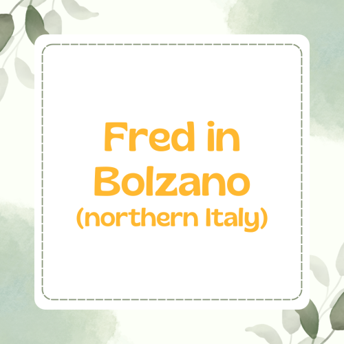 Bolzano1