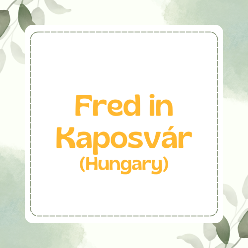 Kaposvár1